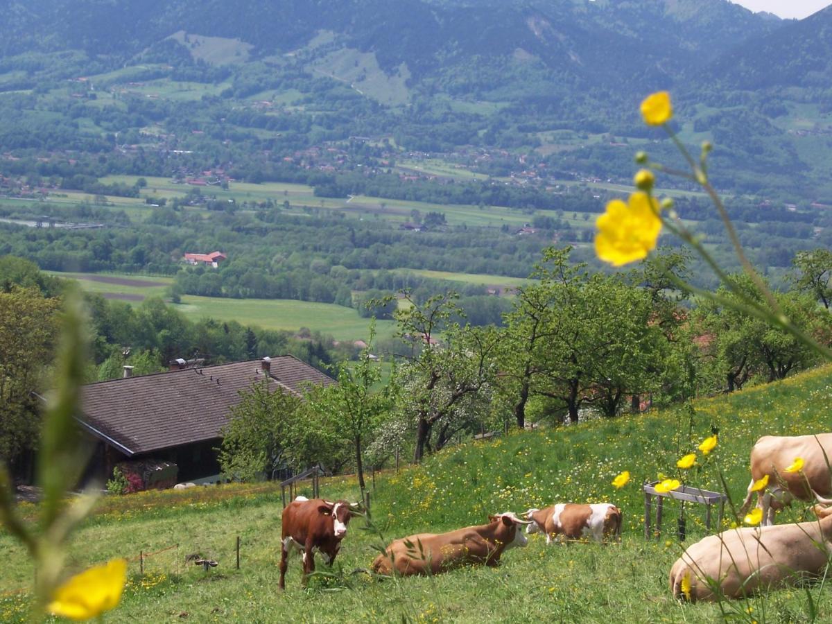 Appartamento Weberhof Samerberg Esterno foto