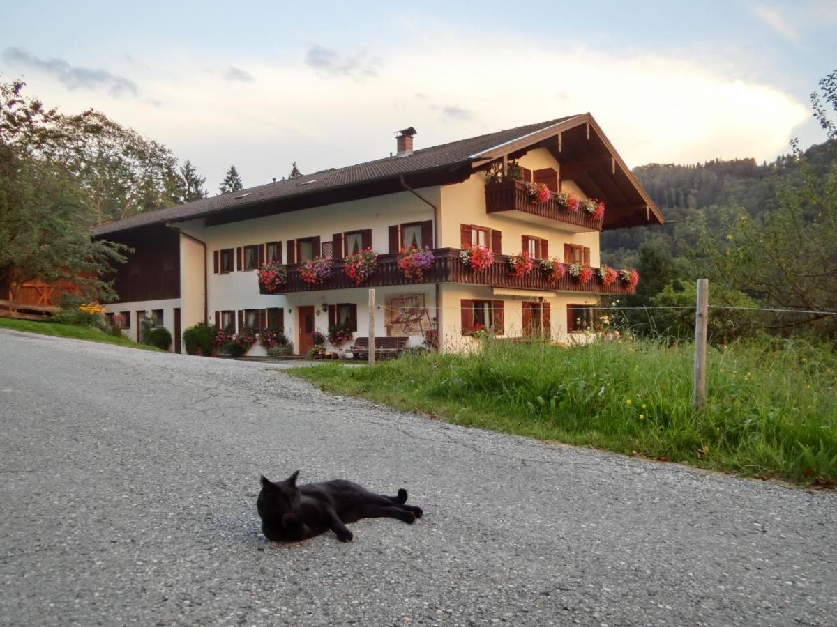 Appartamento Weberhof Samerberg Esterno foto