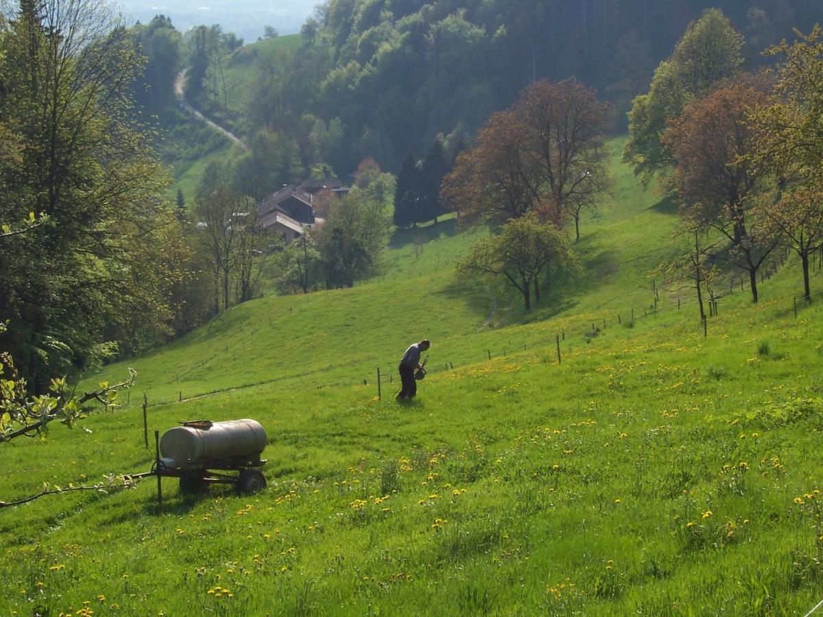 Appartamento Weberhof Samerberg Esterno foto