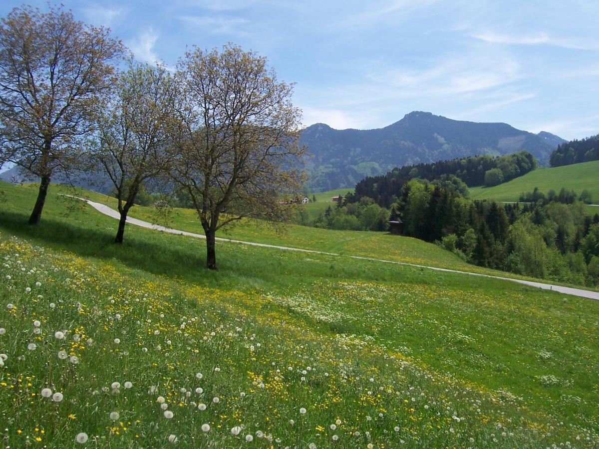 Appartamento Weberhof Samerberg Esterno foto